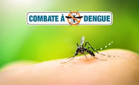 Primeira vítima da dengue em 2025 no Brasil: alerta sobre aumento de casos da doença