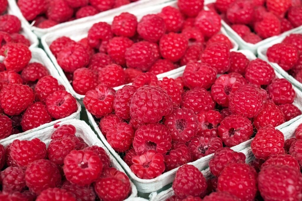 raspberries, close up, red, fruits, fresh, ripe, fresh raspberries, berries, fresh berries, ripe berries, ripe raspberries, produce, harvest, organic, fresh produce, food background, sweet, delicious, healthy, fruit stand, raspberries, raspberries, raspberries, raspberries, raspberries, food background