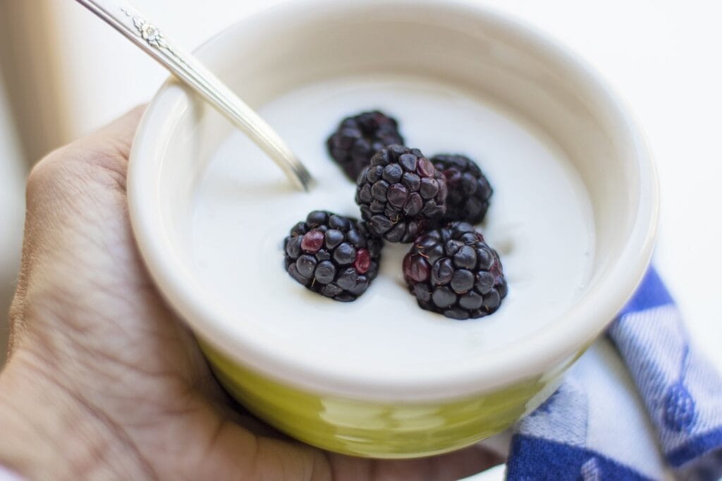 yogurt, breakfast, berries, food, fruit, bowl, organic, healthy, yoghurt, berry, dessert, nutrition, sweet, milk, dairy, homemade, fresh, delicious, snack, blackberry, tasty, meal, lunch, yogurt, yogurt, yogurt, yogurt, yogurt, yoghurt