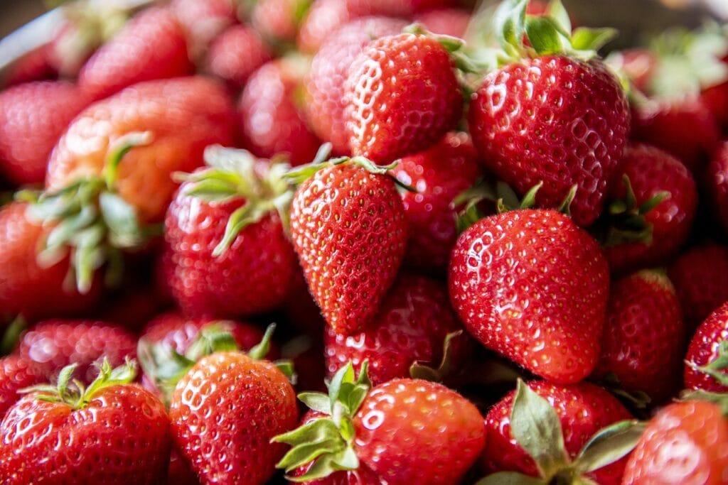 strawberry, healthy, vegan, lunch, fruit, food, fresh, strawberries, nutrition, vegetarian, detox, breakfast, delicious, fruity, kitchen, strawberry, strawberry, strawberry, strawberry, strawberry, strawberries, strawberries