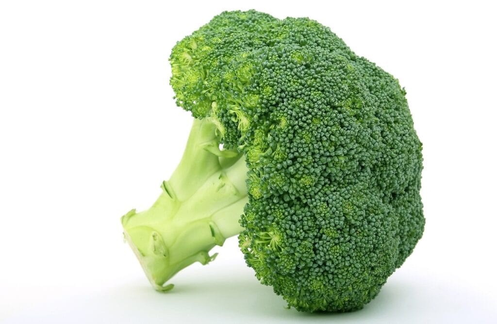 appetite, broccoli, brocoli broccolli, calories, catering, colorful, cookery, cooking, cuisine, culinary, delicious, diet, dieting, dinner, fibre, fitness, food, fresh, fruit, garnish, good, green, groceries, health, healthy, ingredients, isolated, leaf, loss, lunch, natural, nourishing, nature, nutrition, organic, picked, produce, raw, slim, slimming, snack, stalk, supermarket, vegetable, weight, white, wholesome, broccoli, broccoli, broccoli, broccoli, broccoli