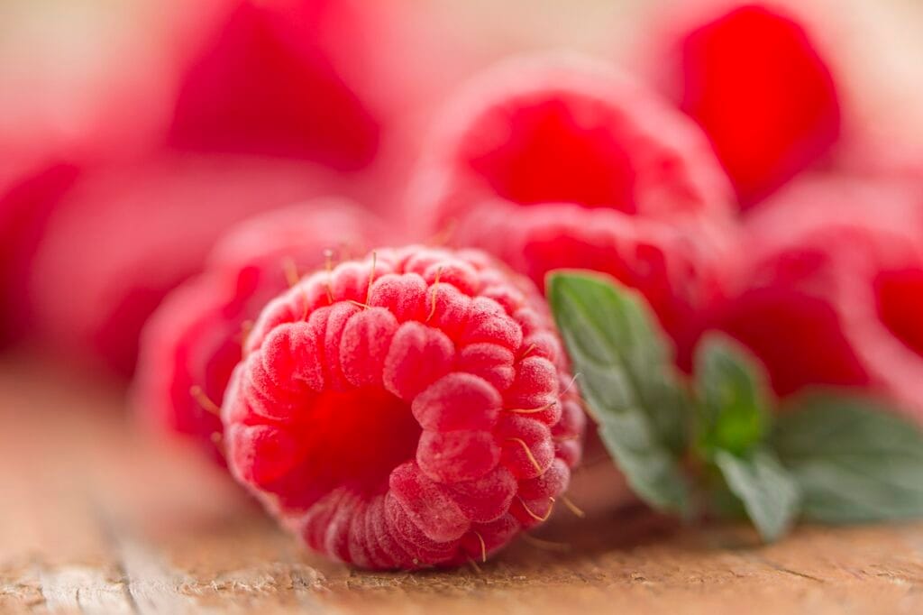 fruits, raspberries, berries, food, fresh, ripe, organic, produce, vitamins, healthy, harvest, fruits, raspberries, raspberries, raspberries, raspberries, raspberries, food