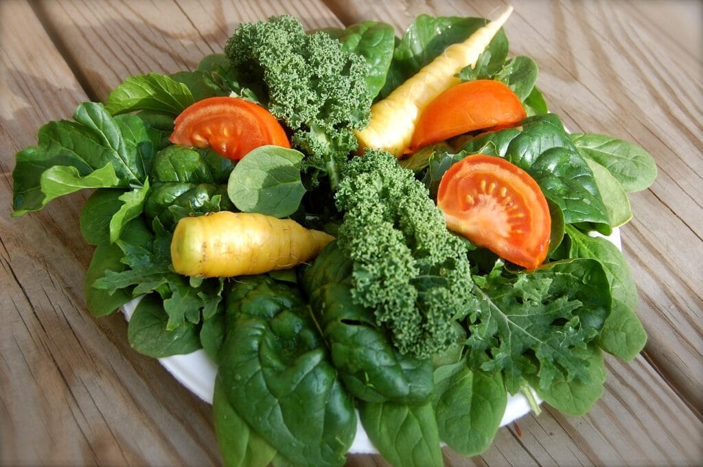 salad, greens, healthy, food, diet, lettuce, spinach, vegan, organic, vegetable, healthy meal, fresh vegetables, fresh food, vegetarian, eating healthy, healthy eating, tomato, fresh, lunch, natural, green food, green vegetables, green healthy, green diet, green eating, spinach, spinach, spinach, spinach, spinach