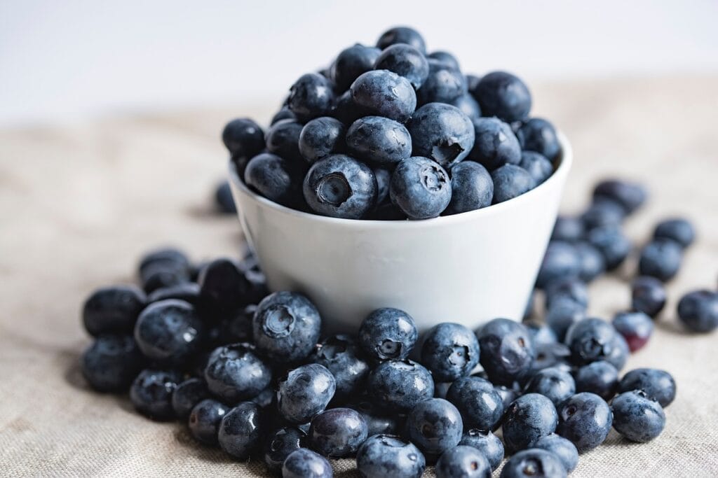bilberries, berry, fruits, healthy, food, bilberries, bilberries, bilberries, bilberries, bilberries