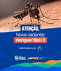 Dengue Tipo 3: O Que Você Precisa Saber