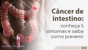 Câncer de Intestino: Sintomas, Causas e Prevenção