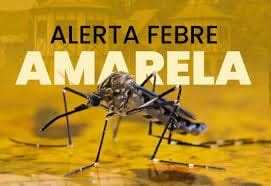 Febre Amarela no Brasil: Aumento de Casos em 2025