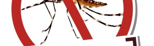 Como Prevenir a Dengue: Dicas Importantes e Informações Atualizadas