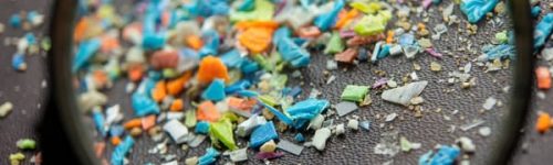 Microplásticos no Cérebro Humano: Um Risco para a Saúde Mental?
