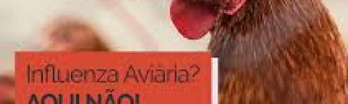 Alerta Sanitário: Nova Cepa de Gripe Aviária é Detectada em Gado Leiteiro nos EUA