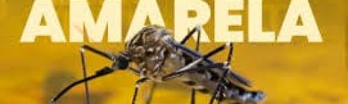Febre Amarela no Brasil: Aumento de Casos em 2025