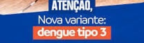 Dengue Tipo 3: O Que Você Precisa Saber